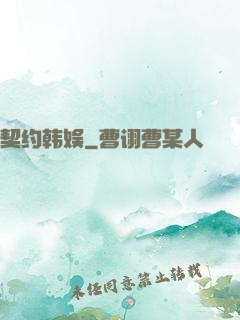 契约韩娱