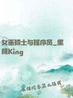 女巫骑士与程序员