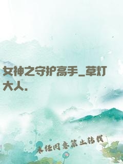 女神之守护高手