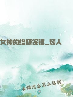 女神的终极保镖
