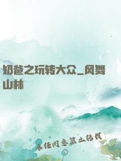 奶爸之玩转大众