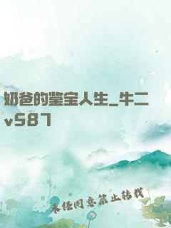 奶爸的鉴宝人生