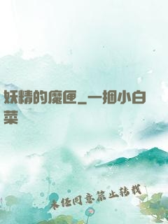 妖精的魔匣