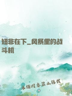 妞非在下