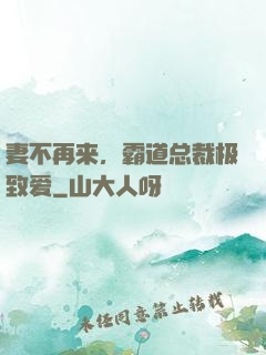 妻不再来，霸道总裁极致爱
