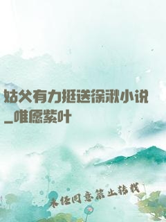姑父有力挺送徐湫小说