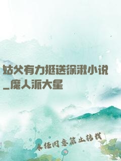 姑父有力挺送徐湫小说