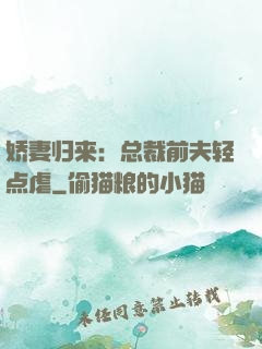 娇妻归来：总裁前夫轻点虐