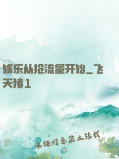 娱乐从抢流量开始