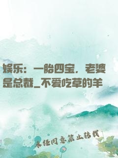 娱乐：一胎四宝，老婆是总裁