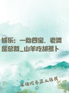 娱乐：一胎四宝，老婆是总裁