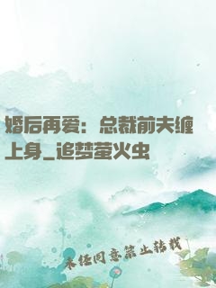 婚后再爱：总裁前夫缠上身