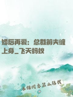 婚后再爱：总裁前夫缠上身