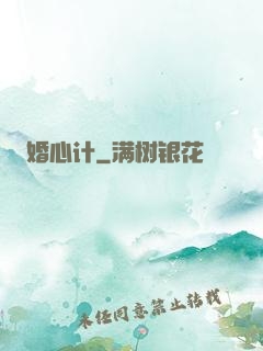 婚心计