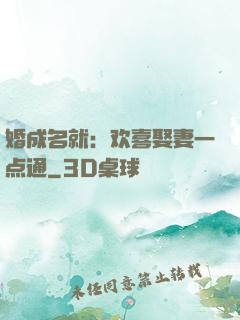 婚成名就：欢喜娶妻一点通