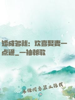 婚成名就：欢喜娶妻一点通
