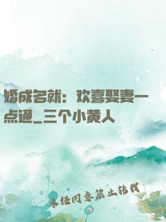 婚成名就：欢喜娶妻一点通