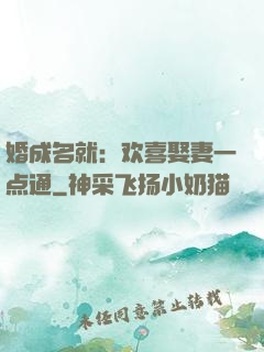 婚成名就：欢喜娶妻一点通
