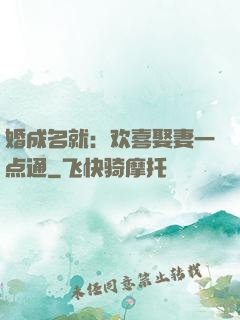 婚成名就：欢喜娶妻一点通