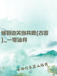 嫁到边关当共妻(古言)