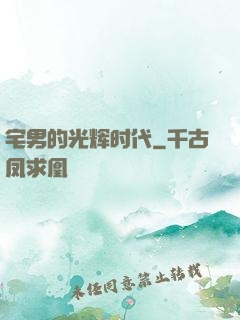 宅男的光辉时代