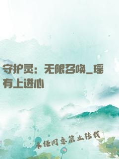 守护灵：无限召唤