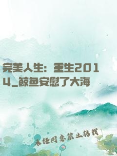 完美人生：重生2014