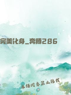 完美化身