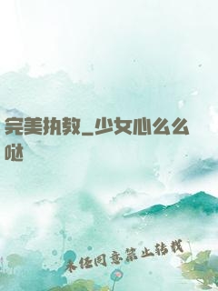 完美执教