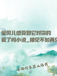 宝贝儿感受到它对你的爱了吗小说