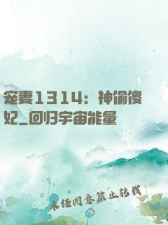 宠妻1314：神偷傻妃