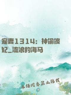 宠妻1314：神偷傻妃