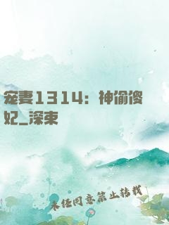 宠妻1314：神偷傻妃