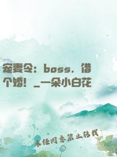宠妻令：boss，借个婚！