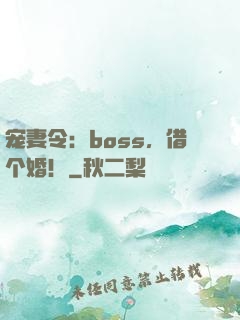 宠妻令：boss，借个婚！