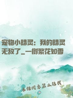 宠物小精灵：我的精灵无敌了