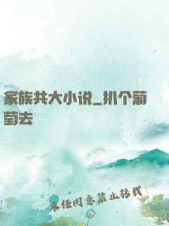 家族共大小说