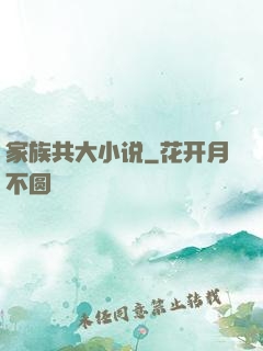 家族共大小说
