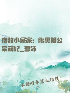 宿敌小冤家：腹黑相公呆萌妃
