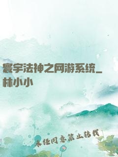 寰宇法神之网游系统