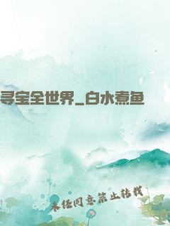 寻宝全世界