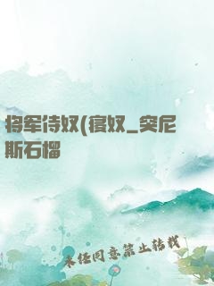 将军侍奴(寝奴