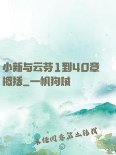 小新与云芬1到40章概括