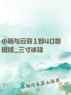 小新与云芬1到40章概括
