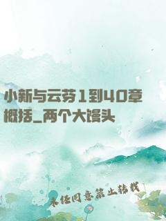 小新与云芬1到40章概括
