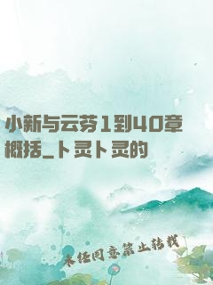 小新与云芬1到40章概括