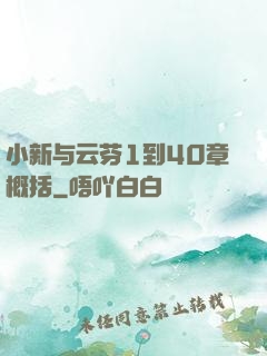 小新与云芬1到40章概括