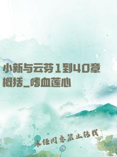 小新与云芬1到40章概括