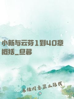 小新与云芬1到40章概括