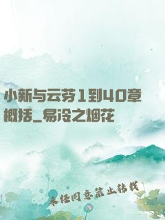 小新与云芬1到40章概括
